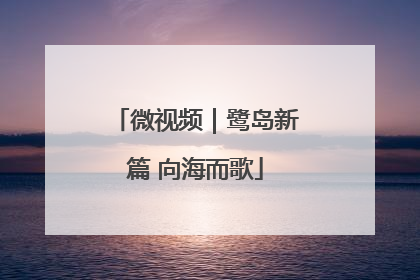 微视频｜鹭岛新篇 向海而歌