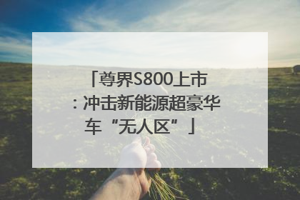 尊界S800上市：冲击新能源超豪华车“无人区”