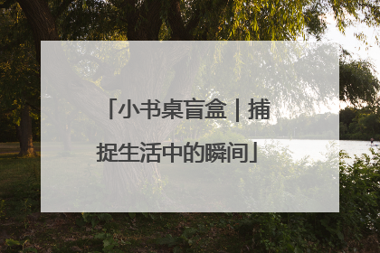 小书桌盲盒｜捕捉生活中的瞬间
