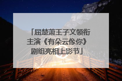 屈楚萧王子文领衔主演《有朵云像你》剧组亮相上影节