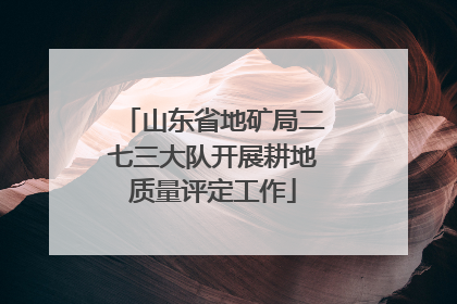 山东省地矿局二七三大队开展耕地质量评定工作