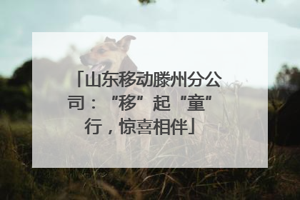山东移动滕州分公司：“移”起“童”行，惊喜相伴