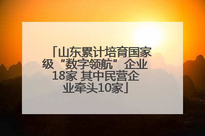 山东累计培育国家级“数字领航”企业18家 其中民营企业牵头10家