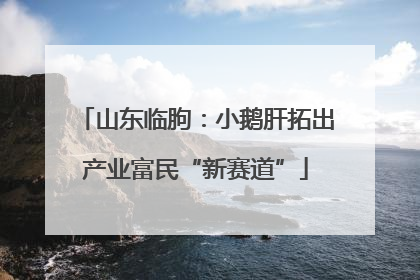 山东临朐：小鹅肝拓出产业富民“新赛道”
