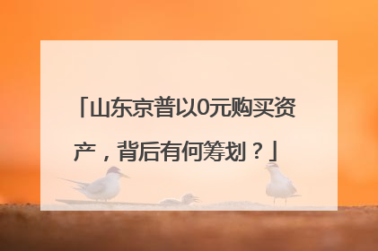 山东京普以0元购买资产，背后有何筹划？