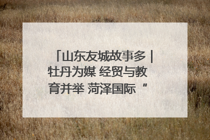 山东友城故事多｜牡丹为媒 经贸与教育并举 菏泽国际“朋友圈”扩容升级
