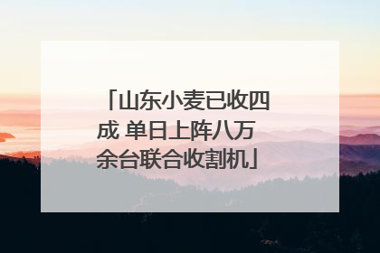 山东小麦已收四成 单日上阵八万余台联合收割机