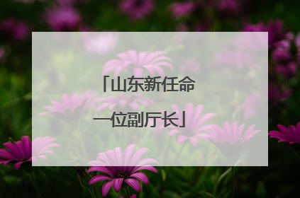 山东新任命一位副厅长