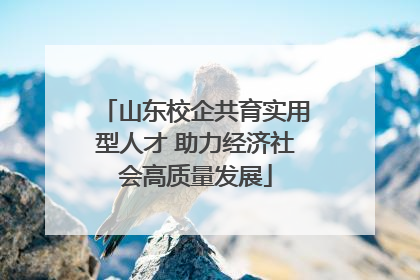 山东校企共育实用型人才 助力经济社会高质量发展