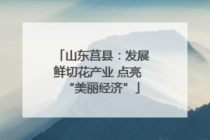 山东莒县：发展鲜切花产业 点亮“美丽经济”
