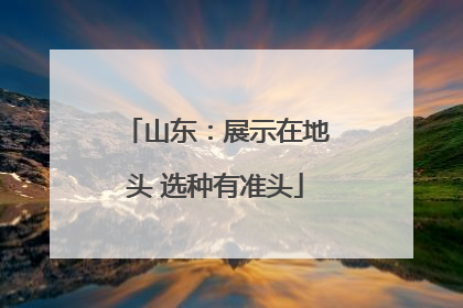 山东：展示在地头 选种有准头