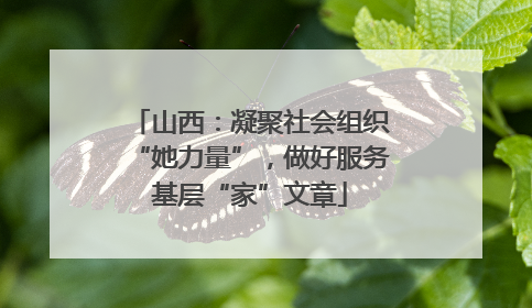 山西：凝聚社会组织“她力量”，做好服务基层“家”文章