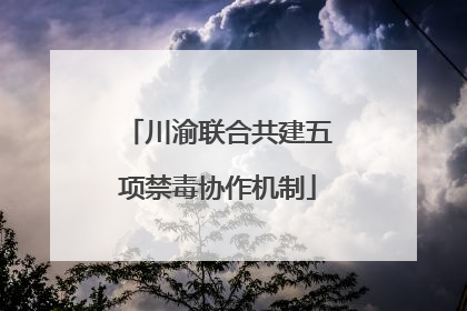 川渝联合共建五项禁毒协作机制