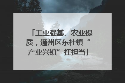 工业强基、农业提质，通州区东社镇“产业兴镇”扛担当
