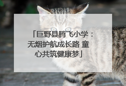 巨野县腾飞小学：无烟护航成长路 童心共筑健康梦