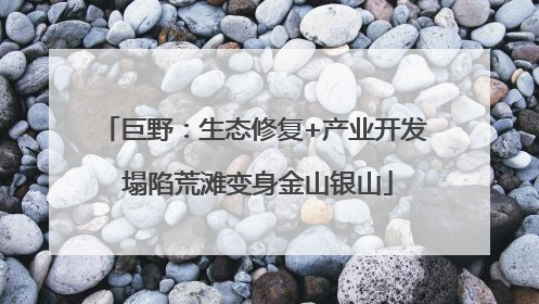 巨野：生态修复+产业开发 塌陷荒滩变身金山银山