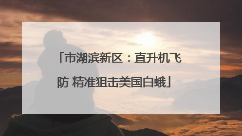 市湖滨新区：直升机飞防 精准狙击美国白蛾