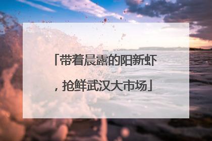 带着晨露的阳新虾，抢鲜武汉大市场