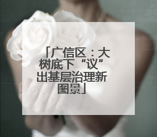 广信区：大树底下“议”出基层治理新图景
