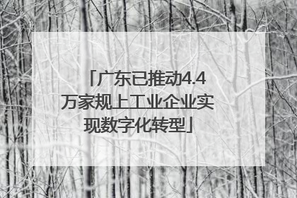 广东已推动4.4万家规上工业企业实现数字化转型