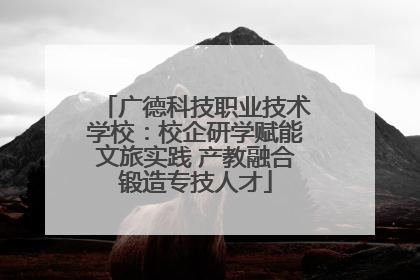 广德科技职业技术学校：校企研学赋能文旅实践 产教融合锻造专技人才