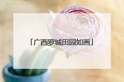 广西罗城田园如画