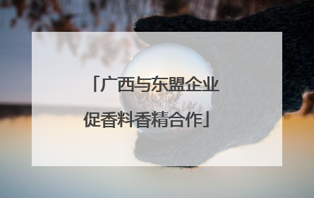广西与东盟企业促香料香精合作