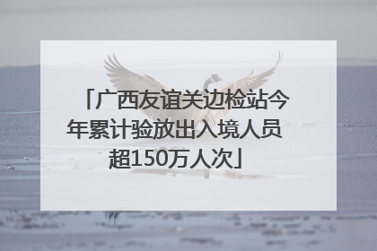广西友谊关边检站今年累计验放出入境人员超150万人次