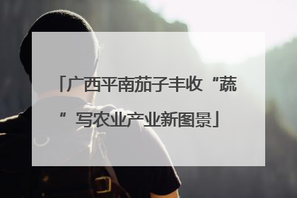 广西平南茄子丰收“蔬”写农业产业新图景