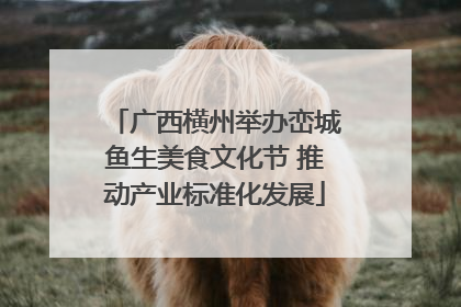 广西横州举办峦城鱼生美食文化节 推动产业标准化发展