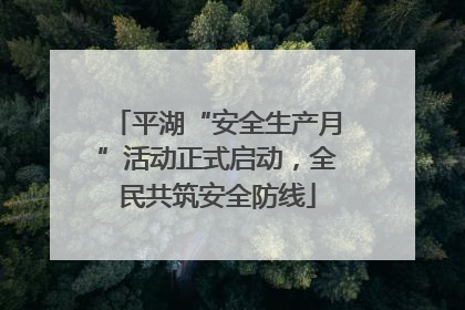 平湖“安全生产月”活动正式启动，全民共筑安全防线