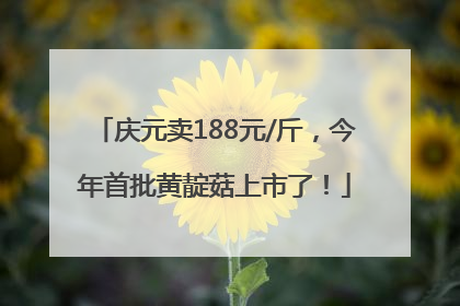 庆元卖188元/斤，今年首批黄靛菇上市了！