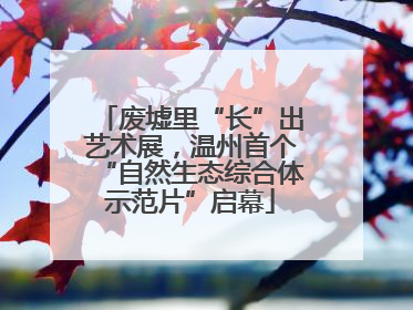 废墟里“长”出艺术展，温州首个“自然生态综合体示范片”启幕