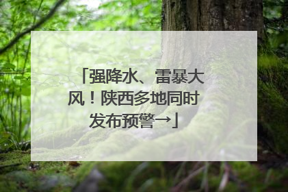 强降水、雷暴大风！陕西多地同时发布预警→