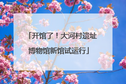 开馆了！大河村遗址博物馆新馆试运行