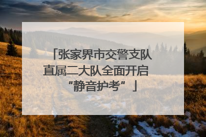 张家界市交警支队直属二大队全面开启“静音护考”