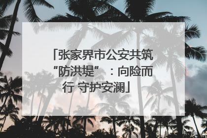 张家界市公安共筑“防洪堤”：向险而行 守护安澜