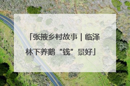 张掖乡村故事｜临泽林下养鹅“钱”景好