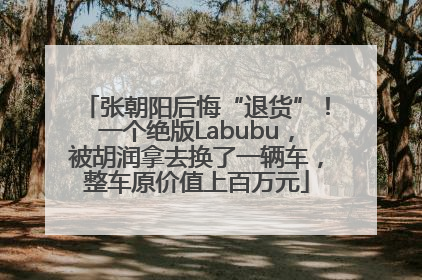 张朝阳后悔“退货”！一个绝版Labubu，被胡润拿去换了一辆车，整车原价值上百万元