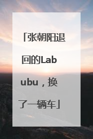 张朝阳退回的Labubu，换了一辆车