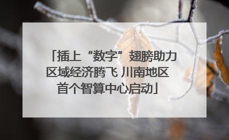 插上“数字”翅膀助力区域经济腾飞 川南地区首个智算中心启动