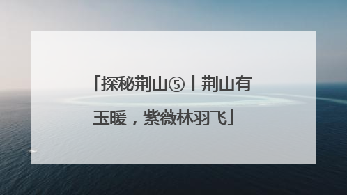 探秘荆山⑤丨荆山有玉暖，紫薇林羽飞