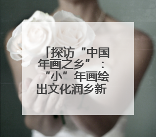 探访“中国年画之乡”：“小”年画绘出文化润乡新图景