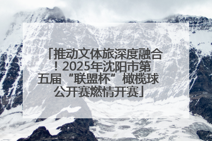 推动文体旅深度融合！2025年沈阳市第五届“联盟杯”橄榄球公开赛燃情开赛