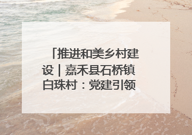 推进和美乡村建设｜嘉禾县石桥镇白珠村：党建引领破“空”局 乡贤聚力绘就新图景