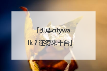 想要citywalk？还得来丰台