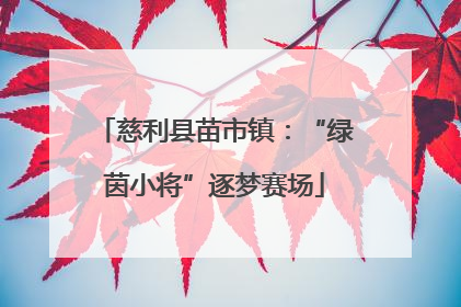 慈利县苗市镇：“绿茵小将”逐梦赛场