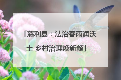 慈利县：法治春雨润沃土 乡村治理焕新颜