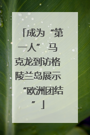 成为“第一人” 马克龙到访格陵兰岛展示“欧洲团结”