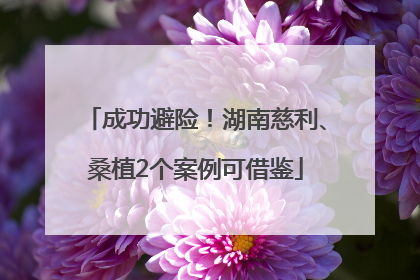 成功避险！湖南慈利、桑植2个案例可借鉴